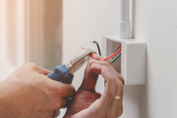 Best Smoke and Carbon Monoxide Detector Installation  in Olton, TX